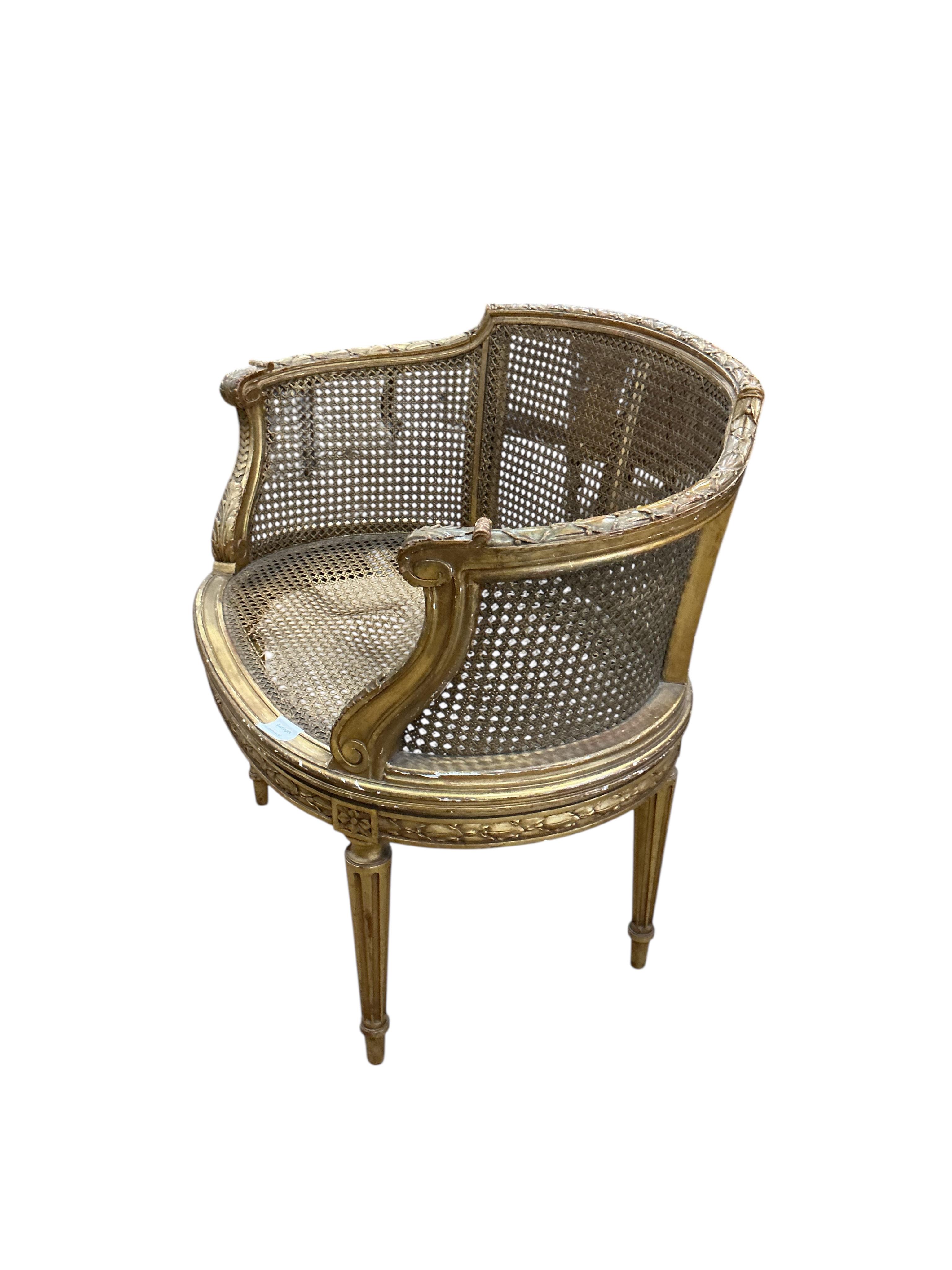 A late 19th century French caned giltwood tub chair, width 77cm, depth 50cm, height 71cm
